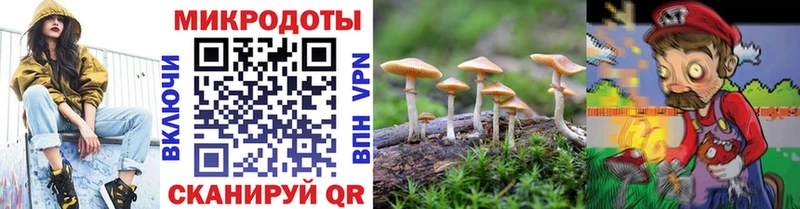 Псилоцибиновые грибы мухоморы  Осинники 